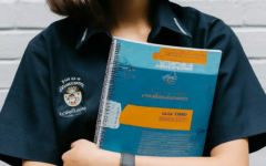 Learning-Strategic